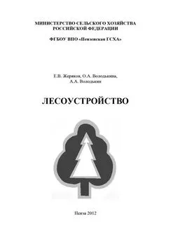 Алексей Володькин - Лесоустройство