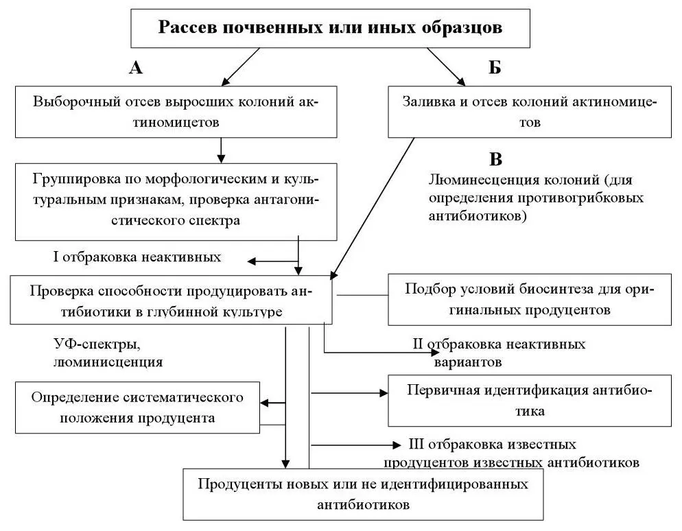 Рисунок 2 Схема выделения актиномицетов продуцентов антибиотиков по - фото 16