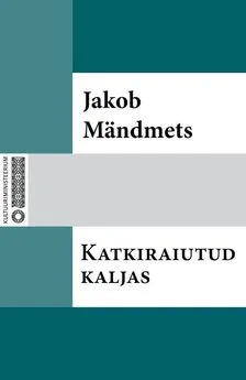 Jakob Mändmets - Katkiraiutud kaljas