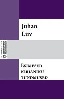 Juhan Liiv - Esimesed kirjaniku tundmused