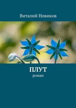 Виталий Новиков - Плут. роман