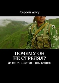 Сергей Аксу - Почему он не стрелял? Из книги «Щенки и псы войны»