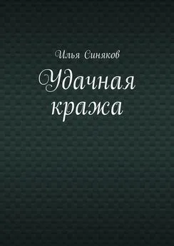 Илья Синяков - Удачная кража