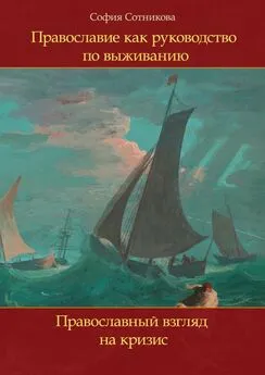 София Сотникова - Православие как руководство по выживанию. Православный взгляд на кризис