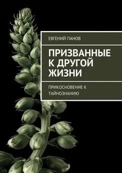 Евгений Панов - Призванные к другой жизни. Прикосновение к тайнознанию