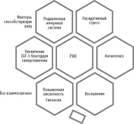 Иммунная система наш главный союзник Иммунная система состоит из армии - фото 3