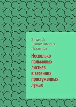 Виталий Пажитнов - Несколько пальмовых листьев в весенних простуженных лужах