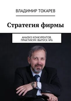 Владимир Токарев - Стратегия фирмы. Анализ конкурентов. Практикум: Выпуск №6