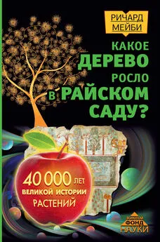 Ричард Мейби - Какое дерево росло в райском саду? 40 000 лет великой истории растений