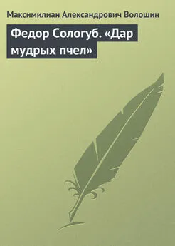 Максимилиан Волошин - Федор Сологуб. «Дар мудрых пчел»