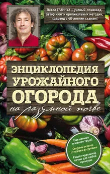 Павел Траннуа - Энциклопедия урожайного огорода на разумной почве