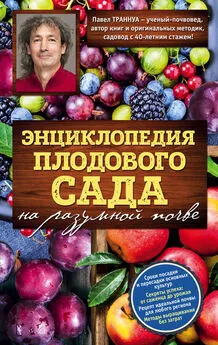 Павел Траннуа - Энциклопедия плодового сада на разумной почве