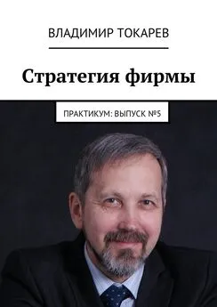 Владимир Токарев - Стратегия фирмы. Практикум: Выпуск №5