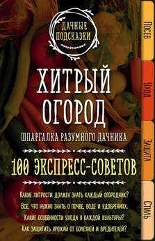 Мария Колпакова - Хитрый огород. Шпаргалка разумного дачника. 100 экспресс-советов