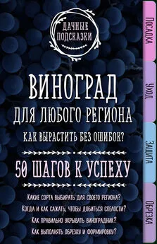 Мария Колпакова - Виноград для любого региона. Как вырастить без ошибок? 50 шагов к успеху