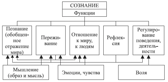 Рис 1 Функции свойства сознания Сознание развивается у человека только в - фото 3