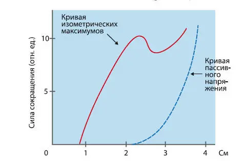 Рис 25 Зависимость напряжения мышцы от ее исходной длины Прирост силы во - фото 14