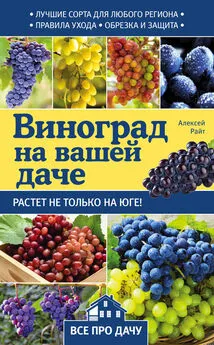 Алексей Райт - Виноград на вашей даче. Растет не только на юге!