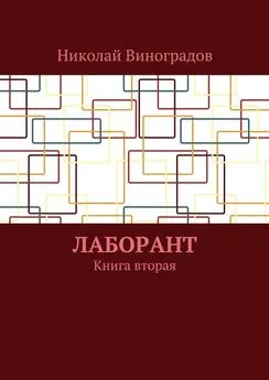 Николай Виноградов - Лаборант. Книга вторая