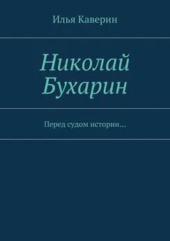 Илья Каверин - Николай Бухарин. Перед судом истории…