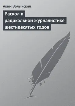 Аким Волынский - Раскол в радикальной журналистике шестидесятых годов