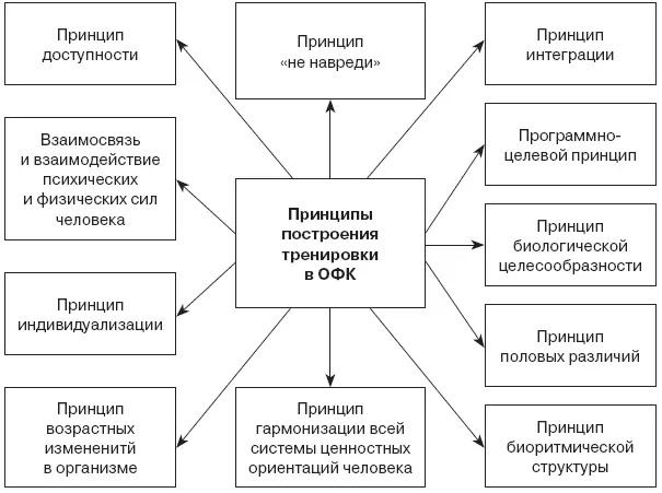 Рис 5 Принципы построения тренировки в ОФК Принцип доступности - фото 6