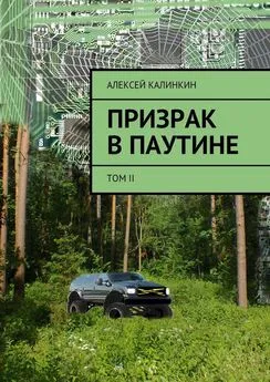 Алексей Калинкин - Призрак в паутине. Том II