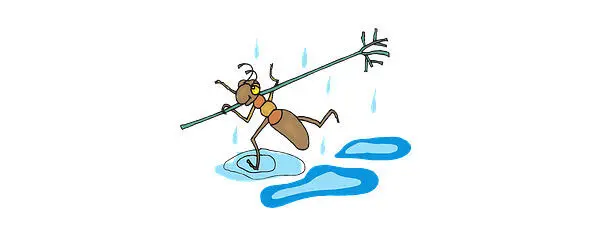A cab A cab No not a cab an ant An ant An ant No not an ant a - фото 20