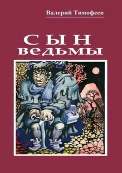 Валерий Тимофеев - Сын ведьмы. Волшебная сказка