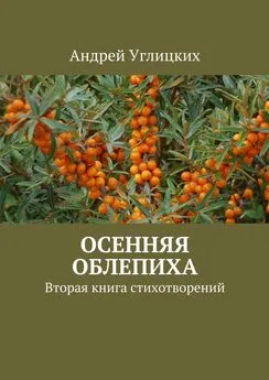 Андрей Углицких - Осенняя облепиха. Вторая книга стихотворений