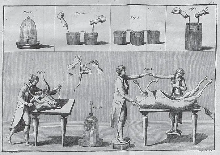 Рис 7 Гальванизация мертвых органов Опыты Альдини К 1820м гг собственно - фото 7