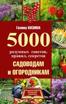 Галина Кизима - 5000 разумных советов, правил, секретов садоводам и огородникам