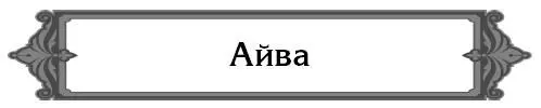 Чем отличается настоящая айва от японской Настоящая айва растение - фото 4