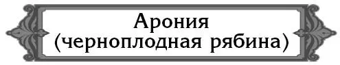 Почему измельчали ягоды аронии Потому что устарели ветви или слишком - фото 7
