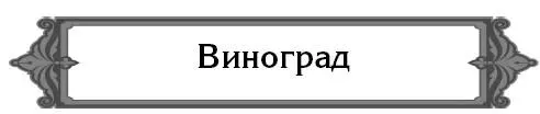 Как сохранить полученные осенью из питомника чубуки винограда Очень просто - фото 9