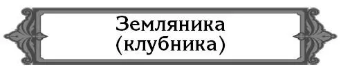 Чем отличается клубника от земляники и как правильно называть растущую в садах - фото 14