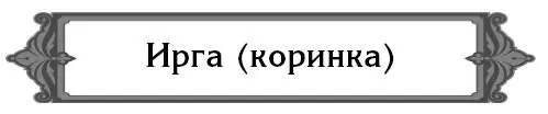 Коринка вымахала до 34 м Все ягоды наверху и достаются только птицам Что - фото 15