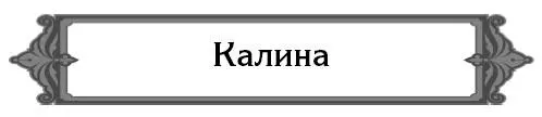 Какие сорта калины лучше выращивать на СевероЗападе Существуют современные - фото 16