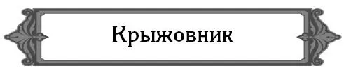 Почему ягоды крыжовника покрываются серым плотным войлочным налетом и что с - фото 17