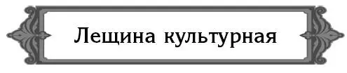 Растет ли лещина на СевероЗападе Не только растет но и плодоносит Покупать - фото 18