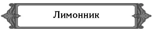 Почему нет ягод на лимоннике хотя он и цветет Лимонник двудомное растение - фото 19