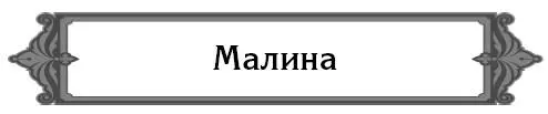 Почему у малины увядают макушки молодой поросли Потому что в поросли малинная - фото 20