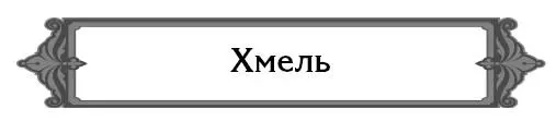 Где взять хмель Принести из леса Он прекрасно приживается Где рекомендуется - фото 26