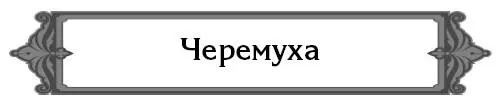 Можно ли высадить на участке черемуху Обыкновенную черемуху сажать на участке - фото 27