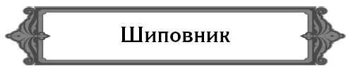 Плоды любого шиповника содержат витамины Витамины есть во всех плодах которые - фото 28