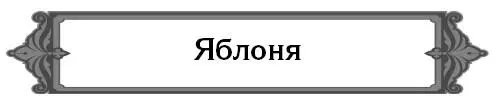 Сколько лет живет яблоня В принципе яблоня может расти и плодоносить до 100 - фото 29