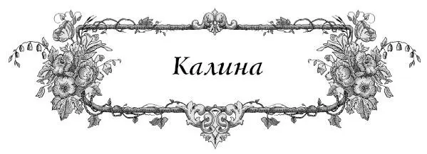 Что любит калина Хорошие плодородные почвы хотя и мирится со скудными - фото 15