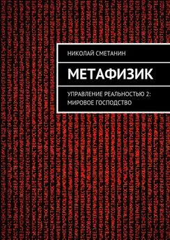 Николай Сметанин - Метафизик. Управление реальностью 2: Мировое господство