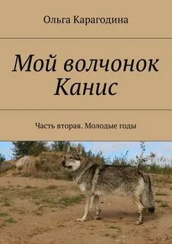 Ольга Карагодина - Мой волчонок Канис. Часть вторая. Молодые годы.