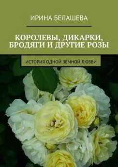 Ирина Белашева - Королевы, дикарки, бродяги и другие розы. История одной земной любви